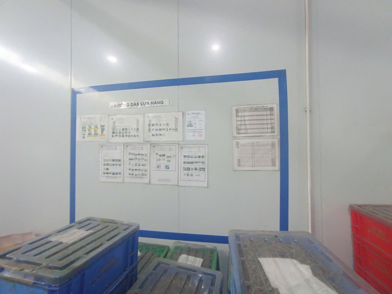 Production Plan.jpg